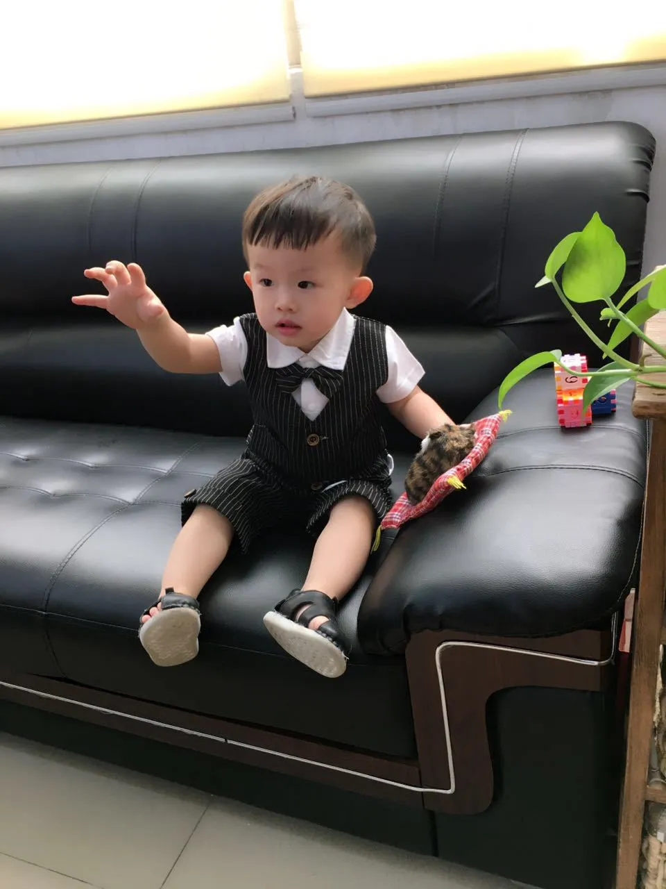 2 Pieces Set Baby Kid Boys Birthday Striped Color-blocking Bow Tops And Shorts Wholesale 22092014