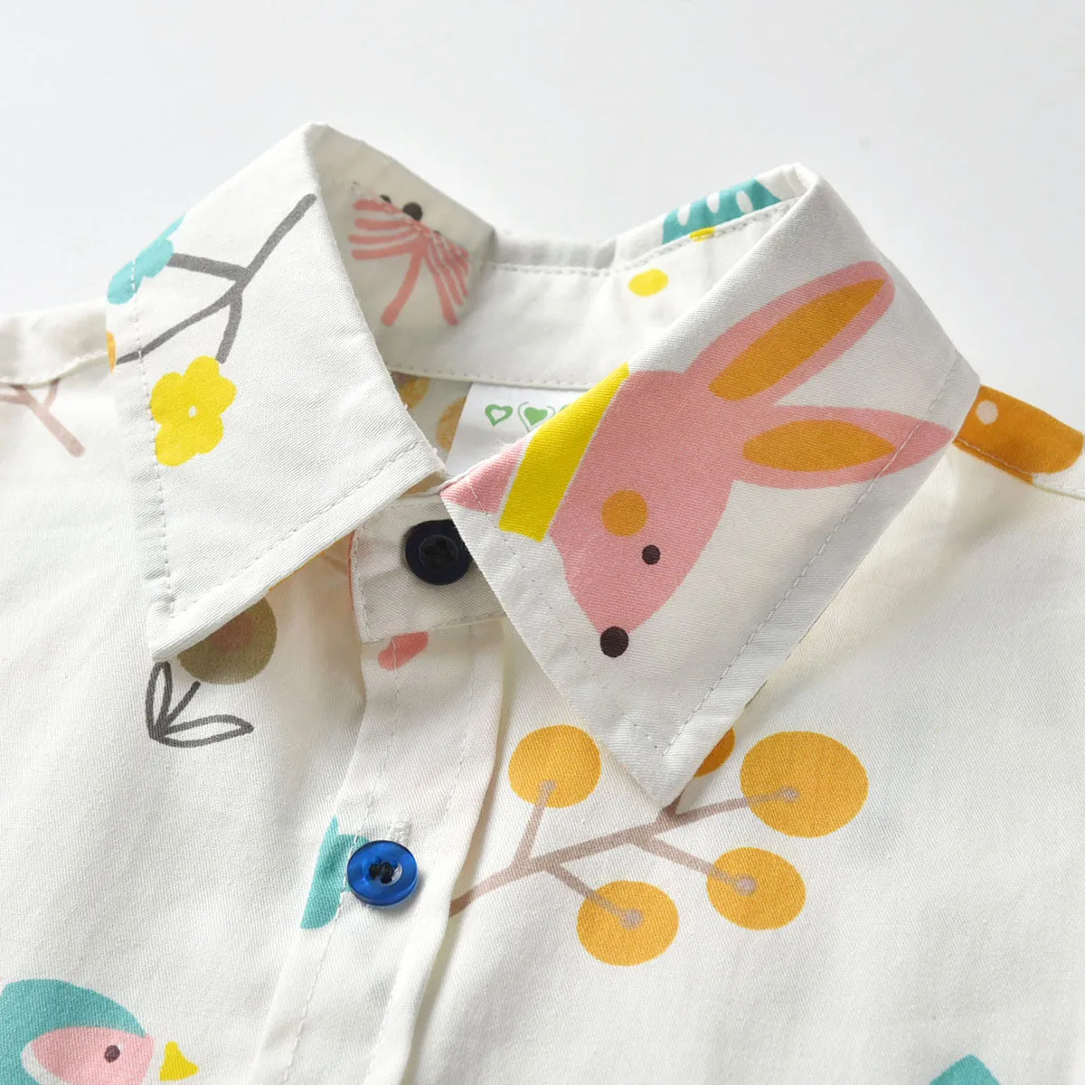 2 Pieces Set Baby Kid Boys Dressy Birthday Party Animals Bow Print Shirts And Striped Shorts Wholesale 211109664