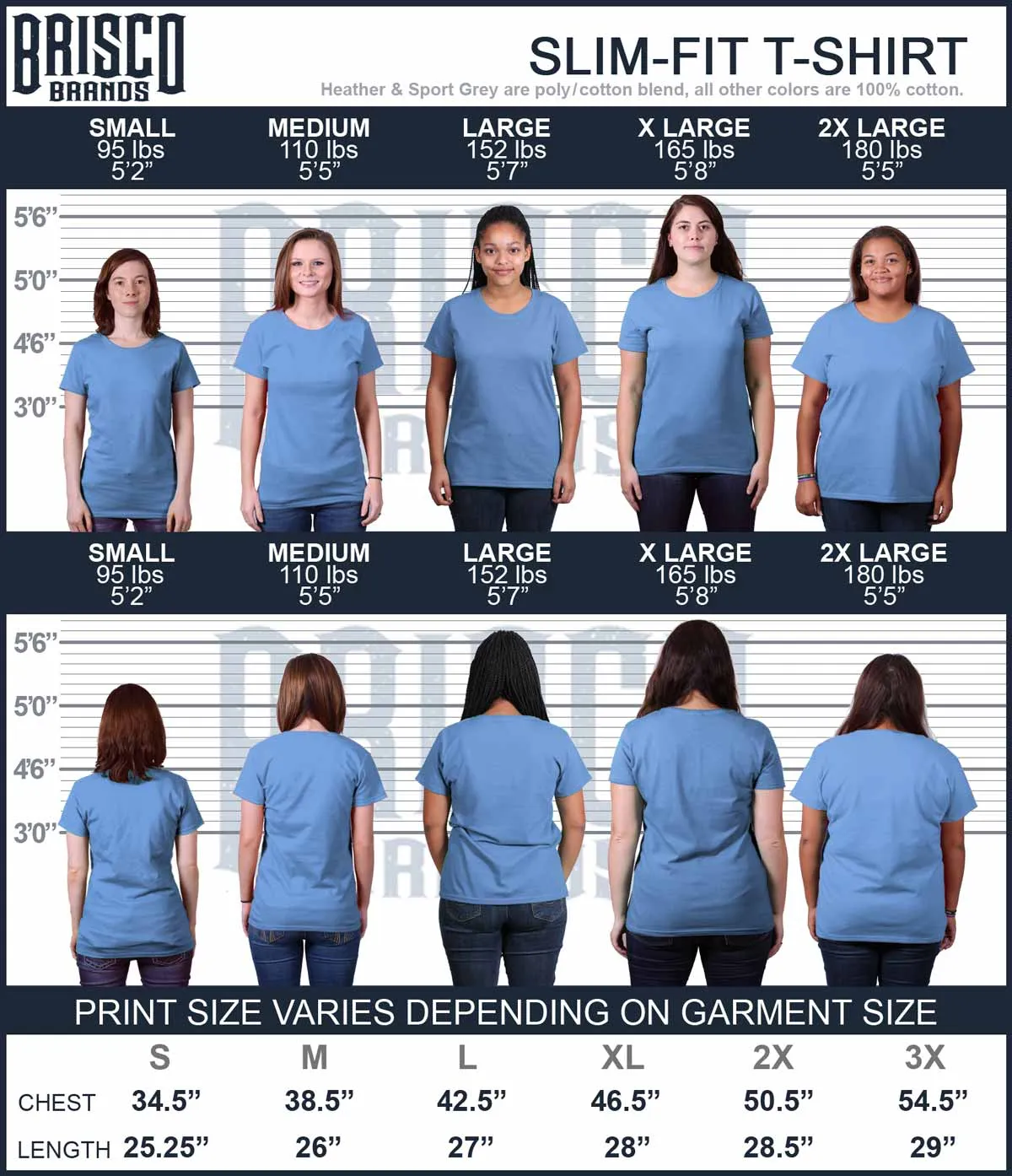 Bikini Season Ladies T-Shirt