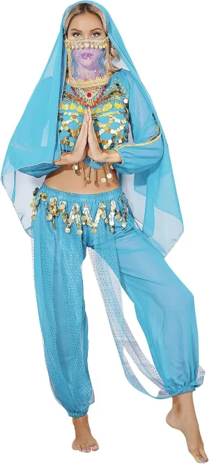 Women's Belly Dance Outfits Indian Bollywood Costume Crop Top Harem Pants Veil 5 Piece Outfit